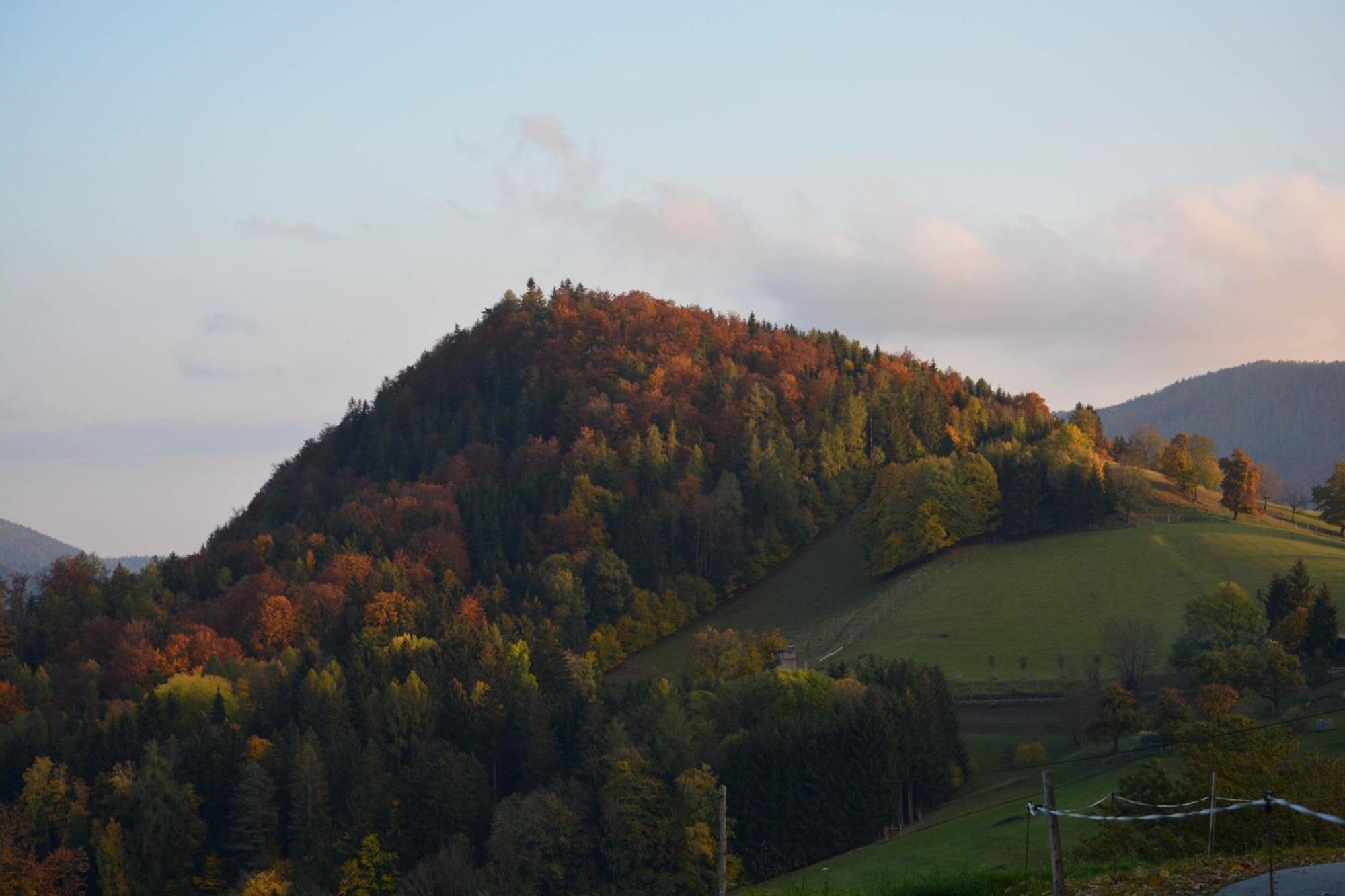 Ferienhaus Reisinger Promschhof Semriach Εξωτερικό φωτογραφία